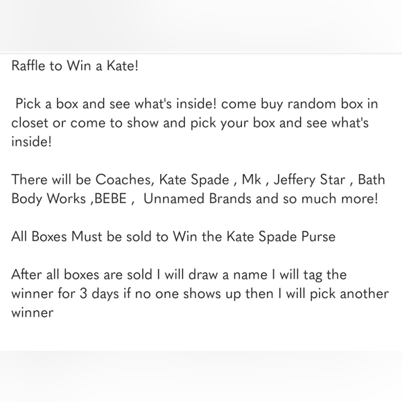 Kate Spade, Coach Or LV Winners Choice Raffle - Picture 3 of 4